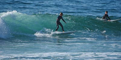 e DSC_1169.jpg