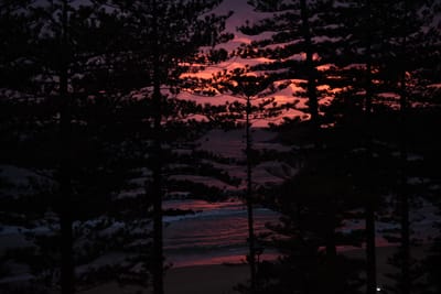 DSC_2075.JPG
