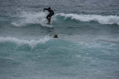 DSC_2076.JPG