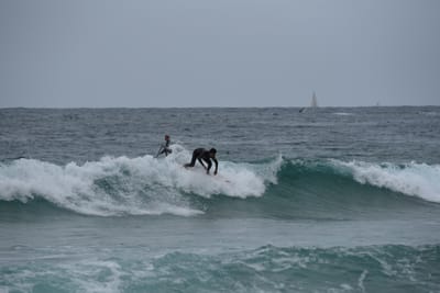 DSC_2083.JPG