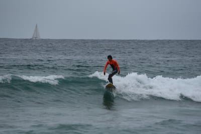 DSC_2093.JPG