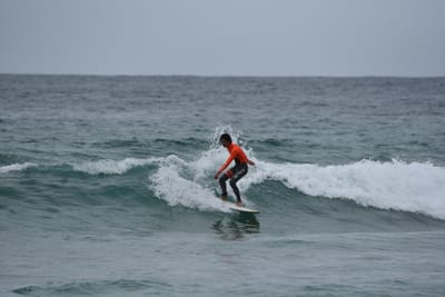 DSC_2095.JPG