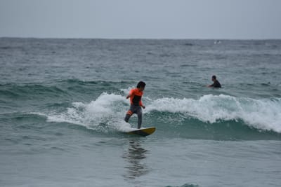 DSC_2102.JPG
