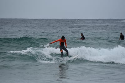 DSC_2104.JPG