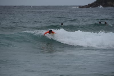 DSC_2105.JPG