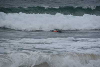 DSC_2122.JPG