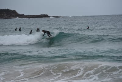 DSC_2126.JPG