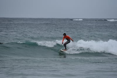DSC_2134.JPG