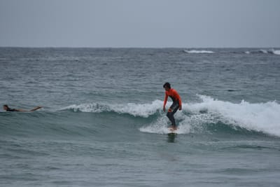 DSC_2135.JPG