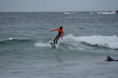 DSC_2138.JPG