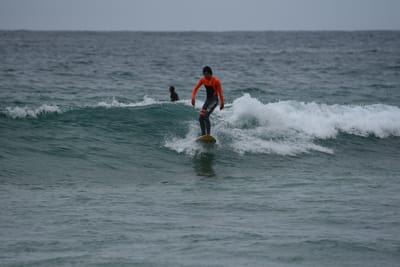 DSC_2144.JPG