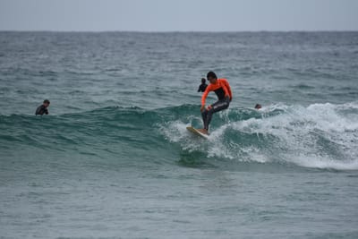 DSC_2146.JPG