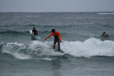 DSC_2160.JPG
