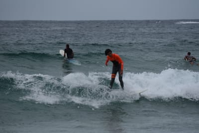 DSC_2161.JPG