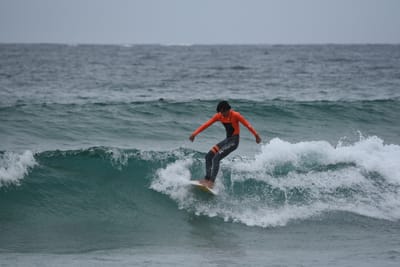 DSC_2172.JPG