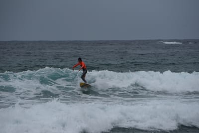 DSC_2178.JPG