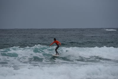 DSC_2179.JPG