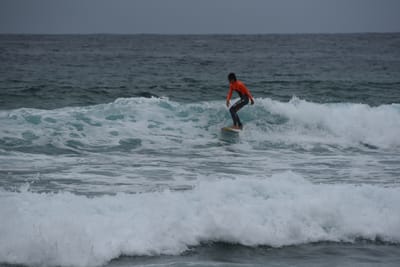 DSC_2181.JPG