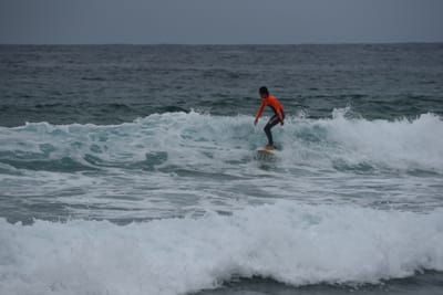 DSC_2182.JPG