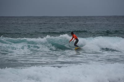 DSC_2183.JPG