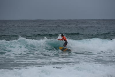 DSC_2184.JPG