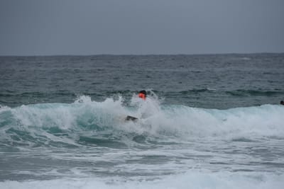 DSC_2187.JPG