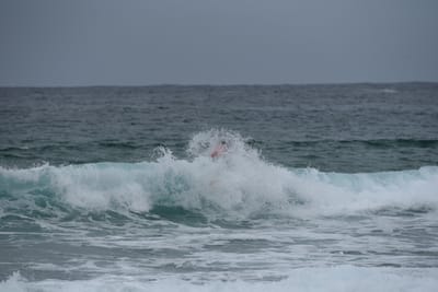 DSC_2188.JPG