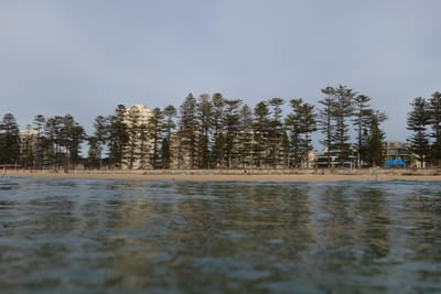 e DSC03263.jpg