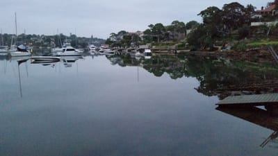 20141225_052900.jpg