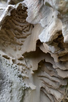 DSC_5081.JPG