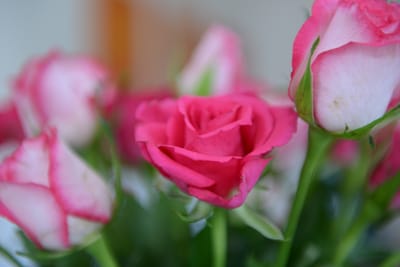 DSC_5125.jpg