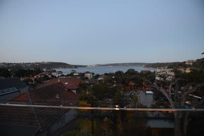 DSC_3234.JPG