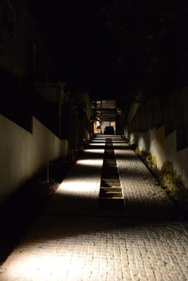 DSC_3269.JPG