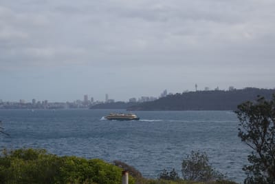 DSC04974.JPG