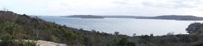 DSC04977.JPG