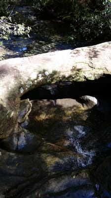 20140824_113632.jpg