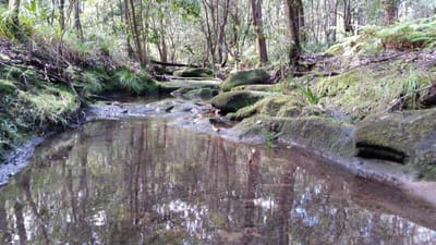 20140824_113839.jpg