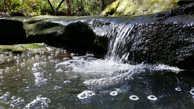 20140824_114108.jpg