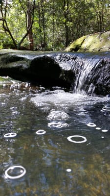 20140824_114111.jpg
