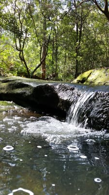 20140824_114119.jpg