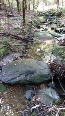 20140824_114413.jpg