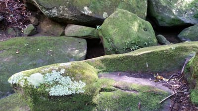 20140824_114723.jpg