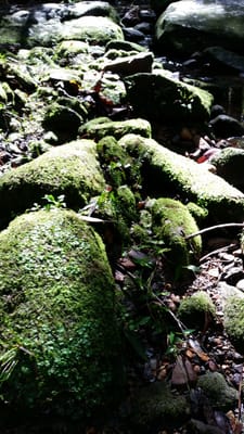 20140824_115001.jpg