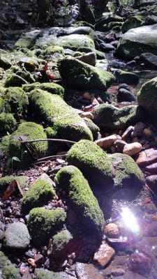 20140824_115025.jpg