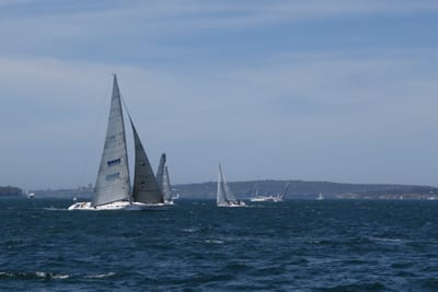 DSC05337.JPG