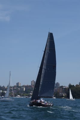 DSC05340.JPG