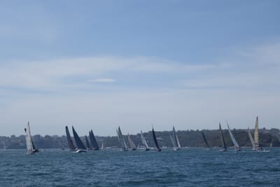 DSC05344.JPG