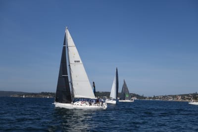 DSC05374.JPG