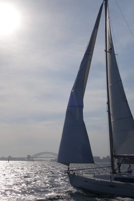 DSC05386.JPG