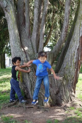 DSC03770.JPG